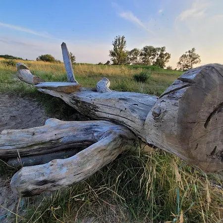 Ostsee Xxl Usedom Familie Stopp 2526 Apartmán Lutow