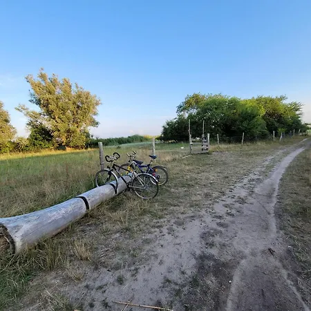 Ostsee Xxl Usedom Familie Stopp 2526 *